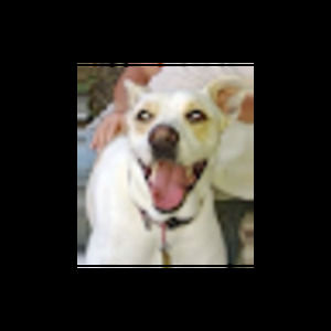 Meet your Posher, Patti